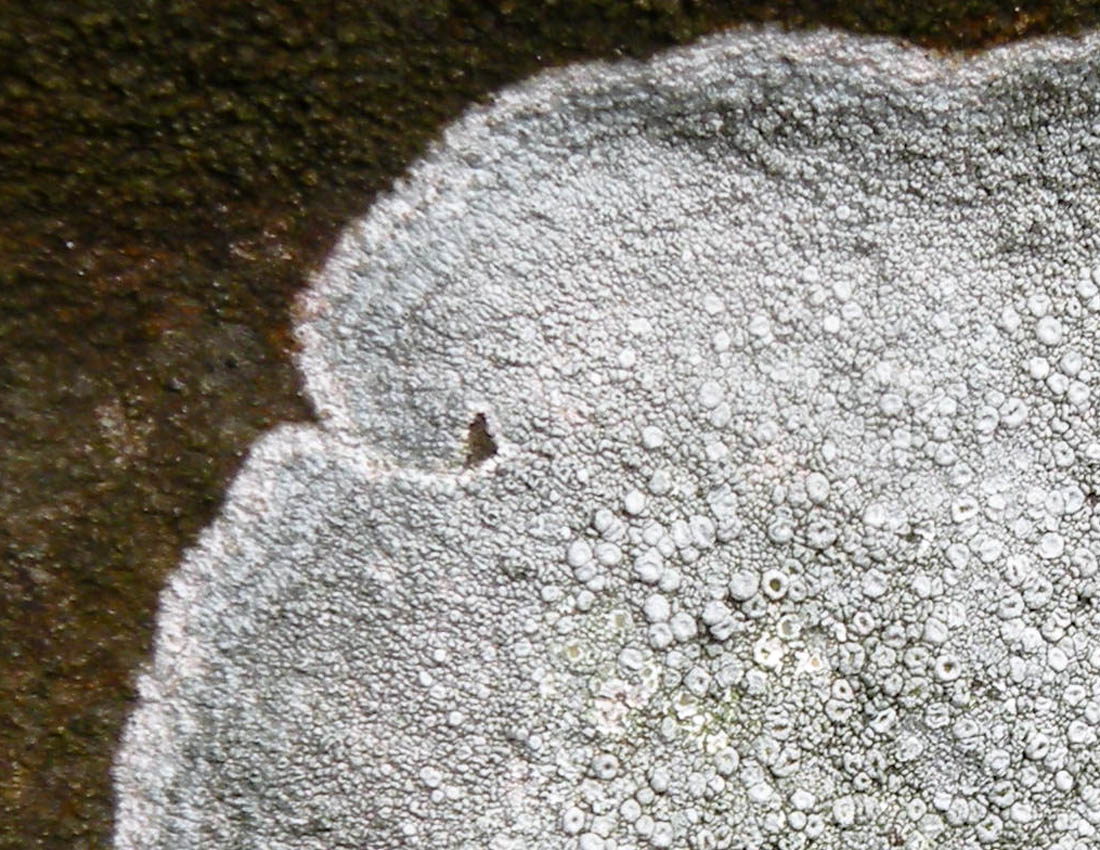 Visitando una abbazia gotica...